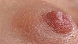 Hot Slut Gets Ass Torn Apart With Hard Thrusts From Monster