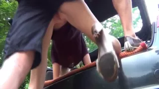 Deutsche Amateurin Im Auto Gefickt