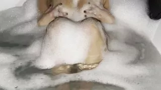 Horny I masturbate in the jacuzzi