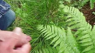 Little cum on a big fern.