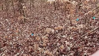 Fill condom for user