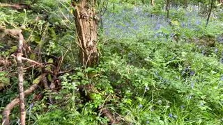 Amateursex, Massage, Masturbation