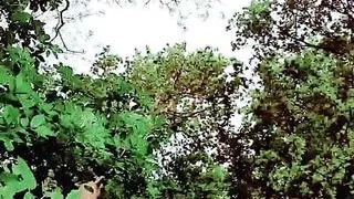 Slutboyben CAM4 Nympho Exhibitionist Brainfucked in Public XIV