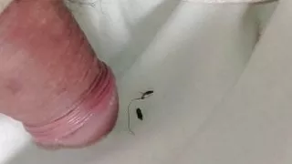 Young Colombian porn in my room I masturbate