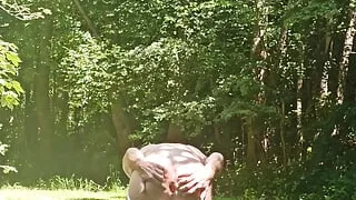 Cagecheck plugcheck in the public park