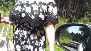 Driving and fucking