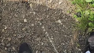 Pissing