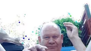 Showing cock in the garden