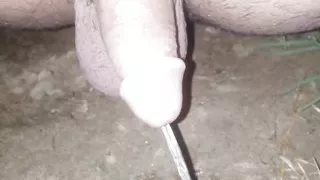 My need cute phodi desi phoda