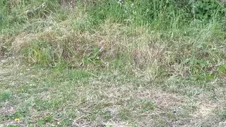 Repeat task Part 2: Pissing on the body