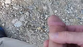 i piss on your luxury car