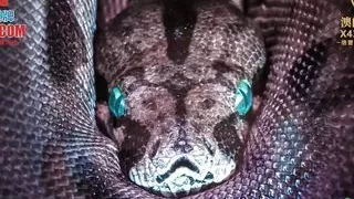 My hot stepsister with sexy lingerie feel so horny teasing me to fuck her wet pussy and cum on her hot body