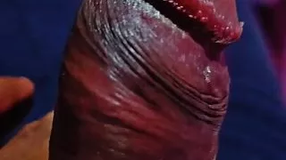 Pakistani viral girl Sex video Sucking big cook penis Flashing hide camera