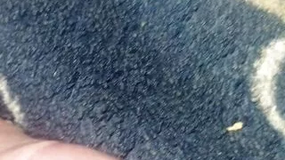 Young Colombian porn in my room I masturbate