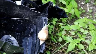 A horny MILF with big boobs wastes Webcamgirls want Sex