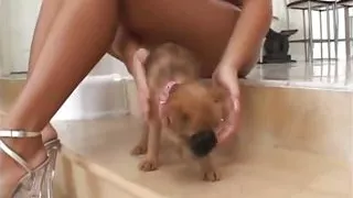 Jasmine Tame Needs Two Dicks To Feel Something feat. Jasmine Tame,Broc Adams,Slimm Dogg - Perv Milfs n Teens