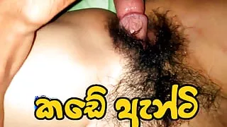 Sri lankan shop sex - Kade antige puka peluwa