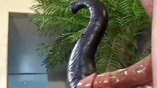 Amazing sexy darling makes her man hard in seconds