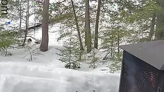 Cool Naughty Teacher Rides her Toy Outdoors on a Cooler