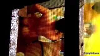 Cambodian Niece Spied In The Shower