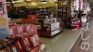 0002780_Japanese_Censored_MGS_19min