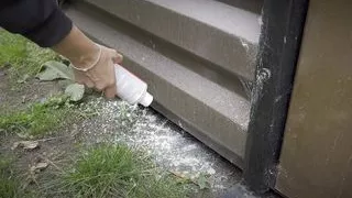 Ant destroying fetish. Giantess POV