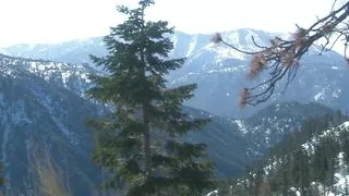 Daily Dose of Hardcore Porn Video - Please Like and Follow