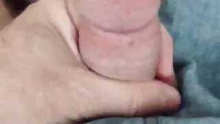 A little tugging in the morning