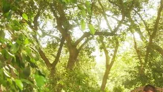 Hardcore for Lovers Watch them all on Faphouse