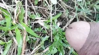 Village boy handjob outdoor