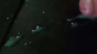 cumshot