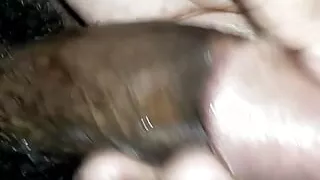 Fantastic cum tribute