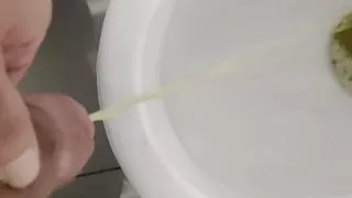 Jerk in Public Hotel Toilette Pissing