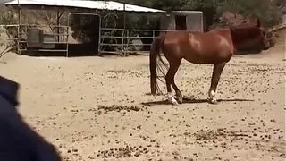 Ryan Meadows Is A Wild College Coed Girl - Perv Milfs n Teens