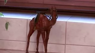 A stunning looking German MILF gets banged hard