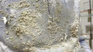 The Fleece - Pied and smothered in porridge