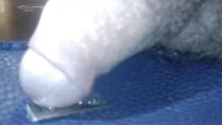 young colombian porn with big penis full of milk