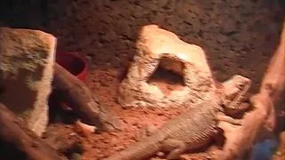 Incredible horny blonde German shoots her first amateur porn video