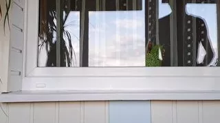 Dicke Girls, Masturbation