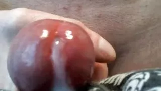 Another close up cumshot