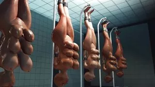 Crazy chef bangs a sexy cuffed brunette with many boobs in prison