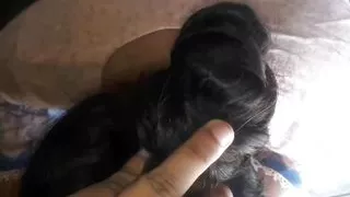 Desi Maid Ko Chat Saaf Karny Ka Bhanay Ghar Pa Bulaya, Hot Indian Aunty, Desi Indian Hot Maid, And Hindi Audio Darty Talk