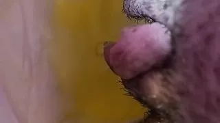 Diaper girl piss play