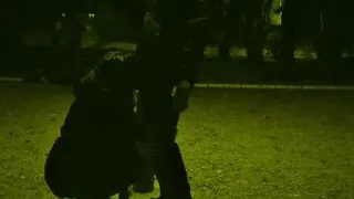 MILF Whore Gives a Blowjob on a Leash in a Public Place