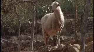 Vintage Retro German Amateur your Daily Dose of Porn