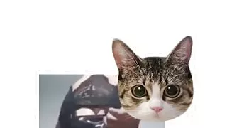 Femboy twerking on white lingerie and black dress