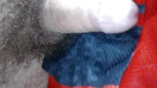 young colombian porn with very big penis