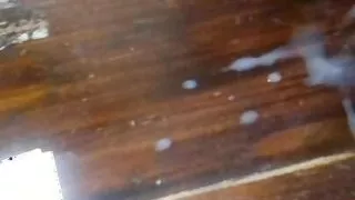 young colombian porn with very big penis