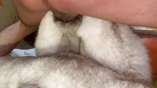 What is it like to insert into the fox fur airplane cup, fur control ecstasy