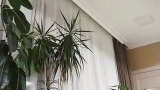 my penis is my best friend,my penis is my best friend